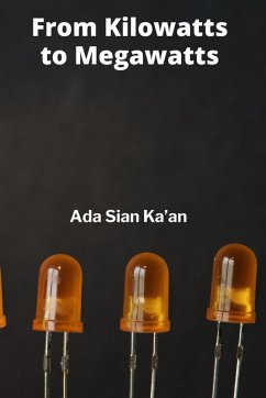 Cover From Kilowatts to Megawatts