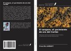 El sargazo, el yacimiento de oro del Caribe
