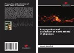 Propagation and extinction of flame fronts in channels