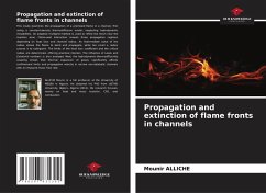 Cover Propagation and extinction of flame fronts in channels