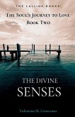 The Divine Senses The Divine Senses