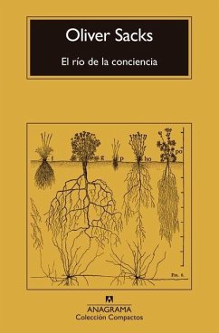Cover El Rio de la Conciencia