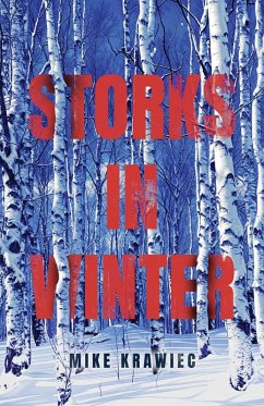 Cover Storks in Winter