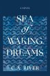 Sea of Waking Dreams - Bild 1