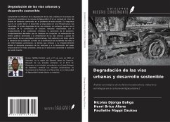 Degradación de las vías urbanas y desarrollo sostenible Cover Degradación de las vías urbanas y desarrollo sostenible