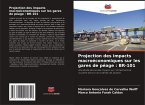 Projection des impacts macroéconomiques sur les gares de péage : BR-101