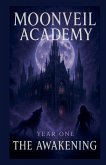 Moonveil Academy Year One The Awakening Moonveil Academy Year One The Awakening