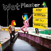 Wet Plaster Wet Plaster