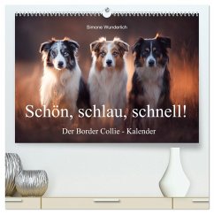 Schön, schlau, schnell! - Der Border Collie - Kalender (hochwertiger Premium Wandkalender 2026 DIN A2 quer), Kunstdruck in Hochglanz Schön, schlau, schnell! - Der Border Collie - Kalender (hochwertiger Premium Wandkalender 2026 DIN A2 quer), Kunstdruck in Hochglanz