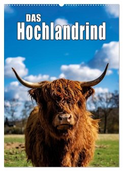 Cover Das Hochlandrind im Frühjahr (Wandkalender 2026 DIN A2 hoch), CALVENDO Monatskalender