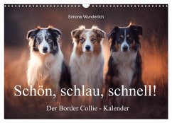 Schön, schlau, schnell! - Der Border Collie - Kalender (Wandkalender 2026 DIN A3 quer), CALVENDO Monatskalender Schön, schlau, schnell! - Der Border Collie - Kalender (Wandkalender 2026 DIN A3 quer), CALVENDO Monatskalender