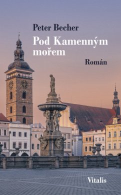 Cover Pod Kamenným morem
