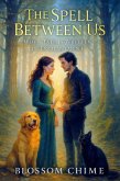 The Spell Between Us (eBook, ePUB)