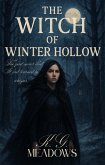 The Witch of Winter Hollow (eBook, ePUB) The Witch of Winter Hollow (eBook, ePUB)