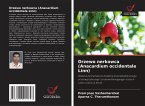 Drzewo nerkowca (Anacardium occidentale Linn)