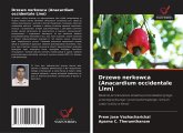 Drzewo nerkowca (Anacardium occidentale Linn) Drzewo nerkowca (Anacardium occidentale Linn)