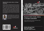 Degrado delle strade urbane e sviluppo sostenibile Degrado delle strade urbane e sviluppo sostenibile