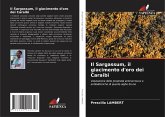 Il Sargassum, il giacimento d'oro dei Caraibi Il Sargassum, il giacimento d'oro dei Caraibi