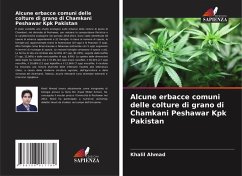 Alcune erbacce comuni delle colture di grano di Chamkani Peshawar Kpk Pakistan - Ahmad, Khalil