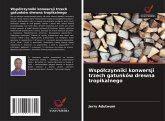 Wspó¿czynniki konwersji trzech gatunków drewna tropikalnego Wspó¿czynniki konwersji trzech gatunków drewna tropikalnego