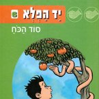 יד הפלא (6) סוד הכוח (MP3-Download)