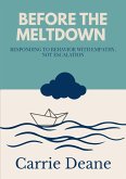 Before The Meltdown (eBook, ePUB)