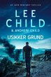 Usikker grund (eBook, ePUB) - Bild 1
