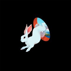 Cover Animal Hospital (Future Blue Vinyl)