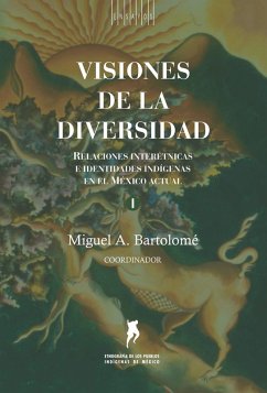 Cover Visiones de la diversidad (eBook, ePUB)