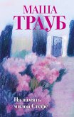 Na pamyat miloy Stefe (eBook, ePUB)