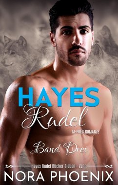 Hayes Rudel Band Drei: Hayes Rudel Bücher Sieben - Zehn (eBook, ePUB) - Phoenix, Nora