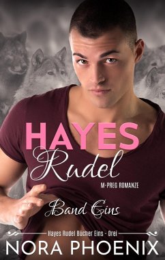 Cover Hayes Rudel Band Eins: Hayes Rudel Bücher Eins - Drei (eBook, ePUB)