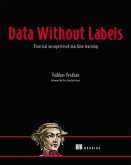 Data Without Labels (eBook, ePUB)