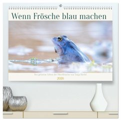 Wenn Frösche blau machen - das geheime Leben der Moorfrösche von Tanja Riedel (hochwertiger Premium Wandkalender 2026 DIN A2 quer), Kunstdruck in Hochglanz Cover Wenn Frösche blau machen - das geheime Leben der Moorfrösche von Tanja Riedel (hochwertiger Premium Wandkalender 2026 DIN A2 quer), Kunstdruck in Hochglanz