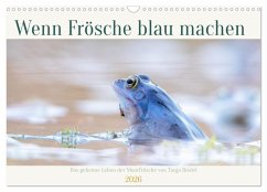 Wenn Frösche blau machen - das geheime Leben der Moorfrösche von Tanja Riedel (Wandkalender 2026 DIN A3 quer), CALVENDO Monatskalender Cover Wenn Frösche blau machen - das geheime Leben der Moorfrösche von Tanja Riedel (Wandkalender 2026 DIN A3 quer), CALVENDO Monatskalender