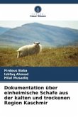 Dokumentation über einheimische Schafe aus der kalten und trockenen Region Kaschmir Dokumentation über einheimische Schafe aus der kalten und trockenen Region Kaschmir