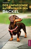 Der Umfassende Ratgeber Für Den Dackel (eBook, ePUB) Der Umfassende Ratgeber Für Den Dackel (eBook, ePUB)