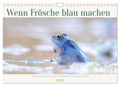 Wenn Frösche blau machen - das geheime Leben der Moorfrösche von Tanja Riedel (Wandkalender 2026 DIN A4 quer), CALVENDO Monatskalender Cover Wenn Frösche blau machen - das geheime Leben der Moorfrösche von Tanja Riedel (Wandkalender 2026 DIN A4 quer), CALVENDO Monatskalender