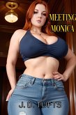 Meeting Monica (eBook, ePUB)