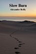 Slow Burn (eBook, ePUB) - Bild 1