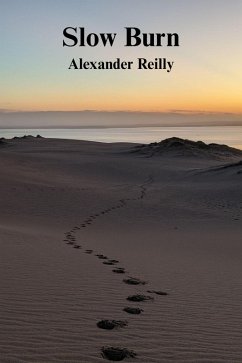 Cover Slow Burn (eBook, ePUB)