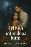 Prinsa între doua lumi (eBook, ePUB)