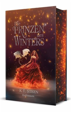 Cover Die Prinzen des Winters. Eisflimmern (Eisfeuer-Saga 4)