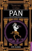 Pan Pan