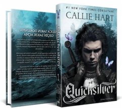 Cover Quicksilver Ciltli
