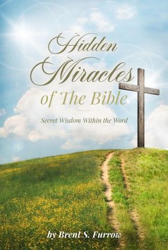 Cover Hidden Miracles of the Bible (eBook, ePUB)
