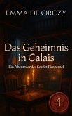Das Geheimnis in Calais (eBook, ePUB)