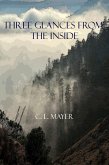 Three Glances from the Inside (eBook, ePUB)