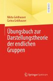 Übungsbuch zur Darstellungstheorie der endlichen Gruppen (eBook, PDF)