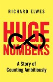 Huge Numbers (eBook, ePUB)